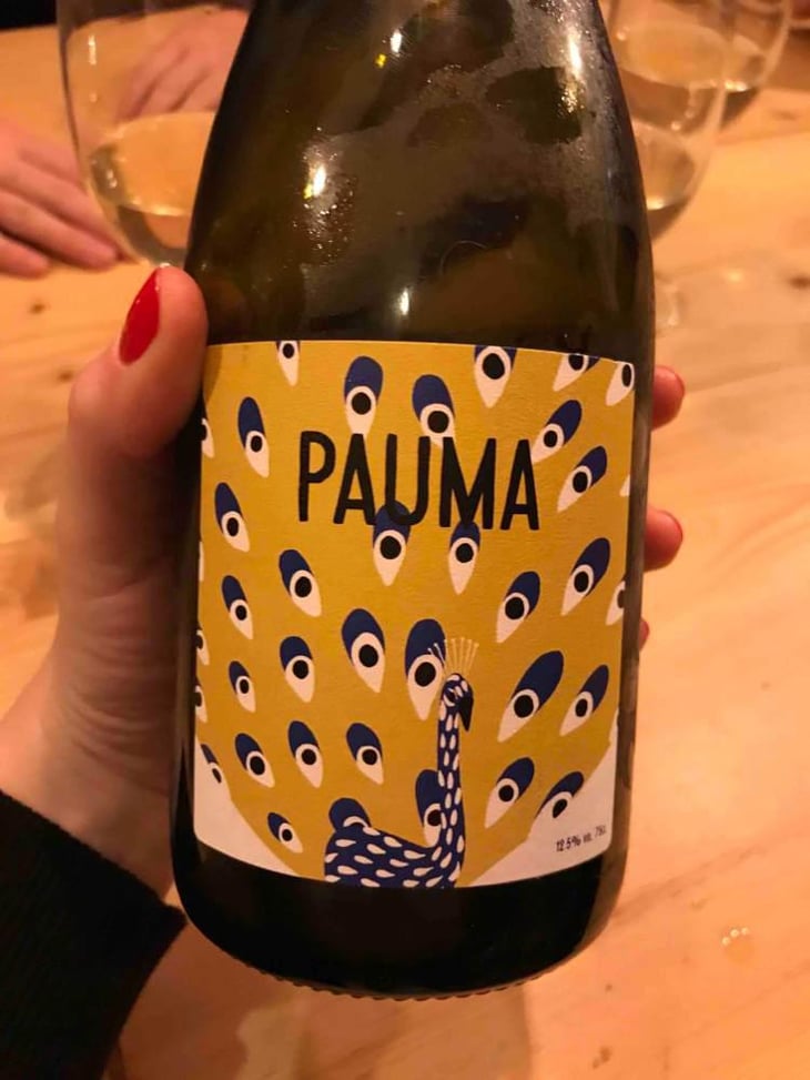 Pauma - Fontaine Des Grives / Château Richard - Leila Laré & Benoit Périssé -2020