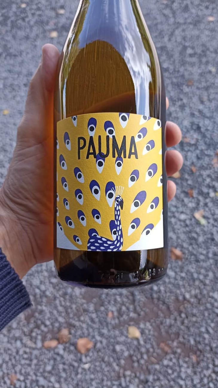 Pauma - Fontaine Des Grives / Château Richard - Leila Laré & Benoit Périssé -2020