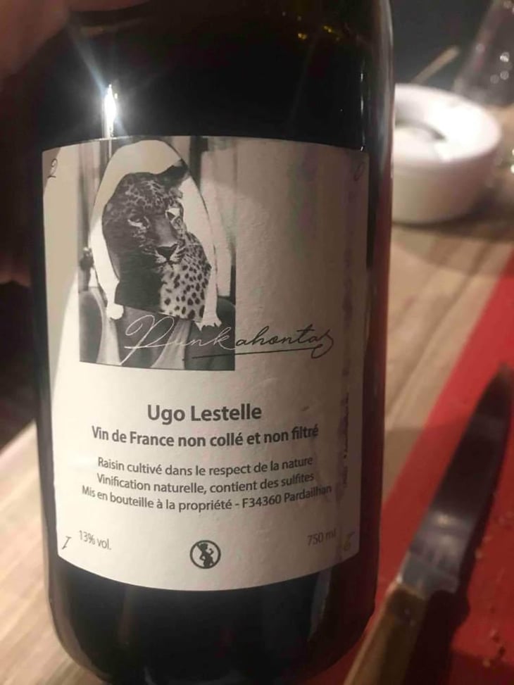 Punkahontas - Ugo Lestelle - Ugo Lestelle 
