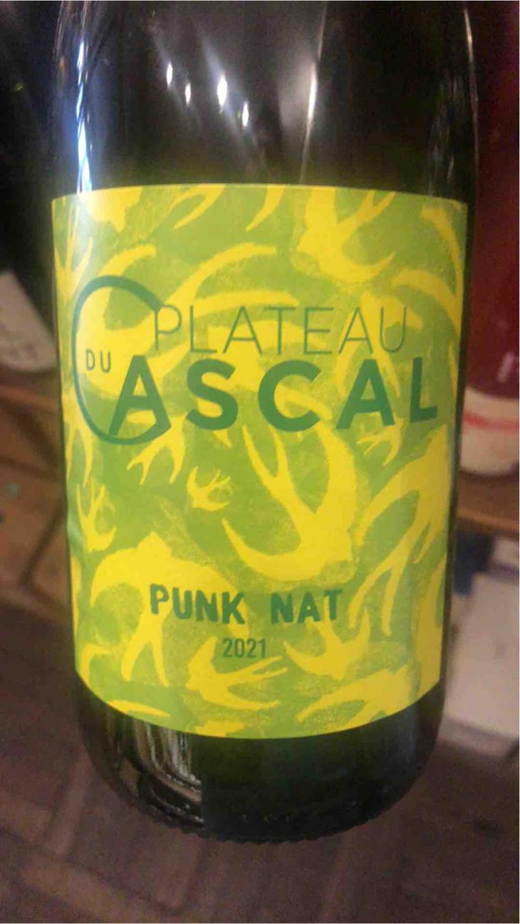 Punk Nat - Plateau Du Cascal - Sofi Bataillard et Julien Veyret 