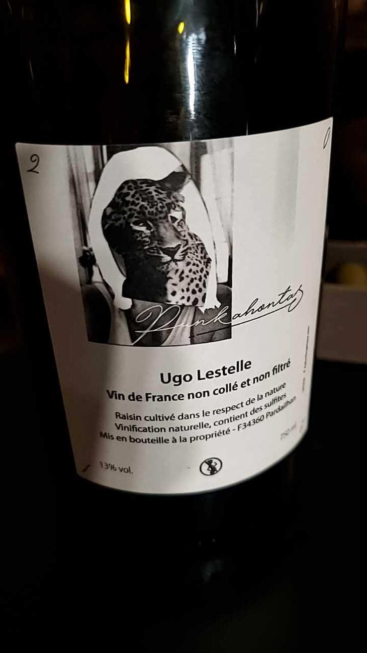 Punkahontas - Ugo Lestelle - Ugo Lestelle 