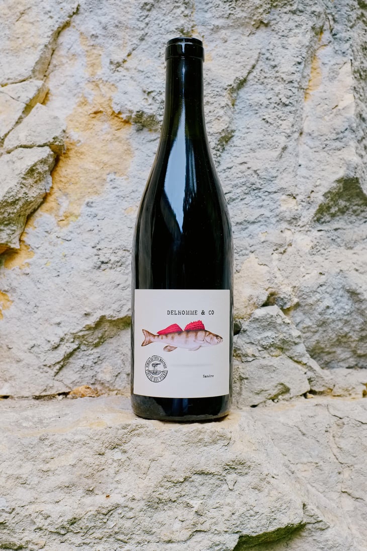 Punk’s Pinot Dead - Delhomme & co - Baptiste Delhomme 