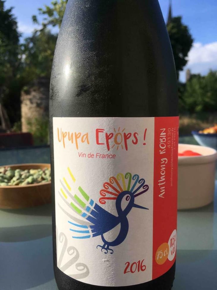 Upupa Epops Pet' Nat - Domaine du Clos Fremur - Anthony Robin 