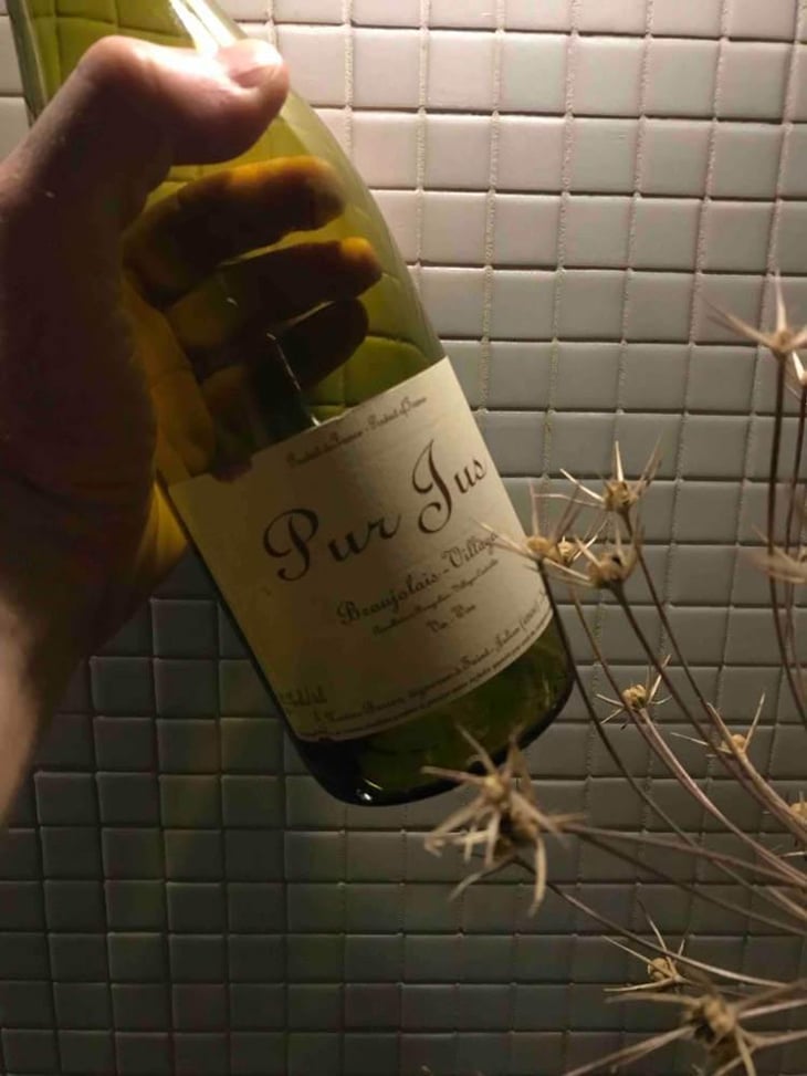 Pur Jus - Xavier Bénier - Xavier Bénier 