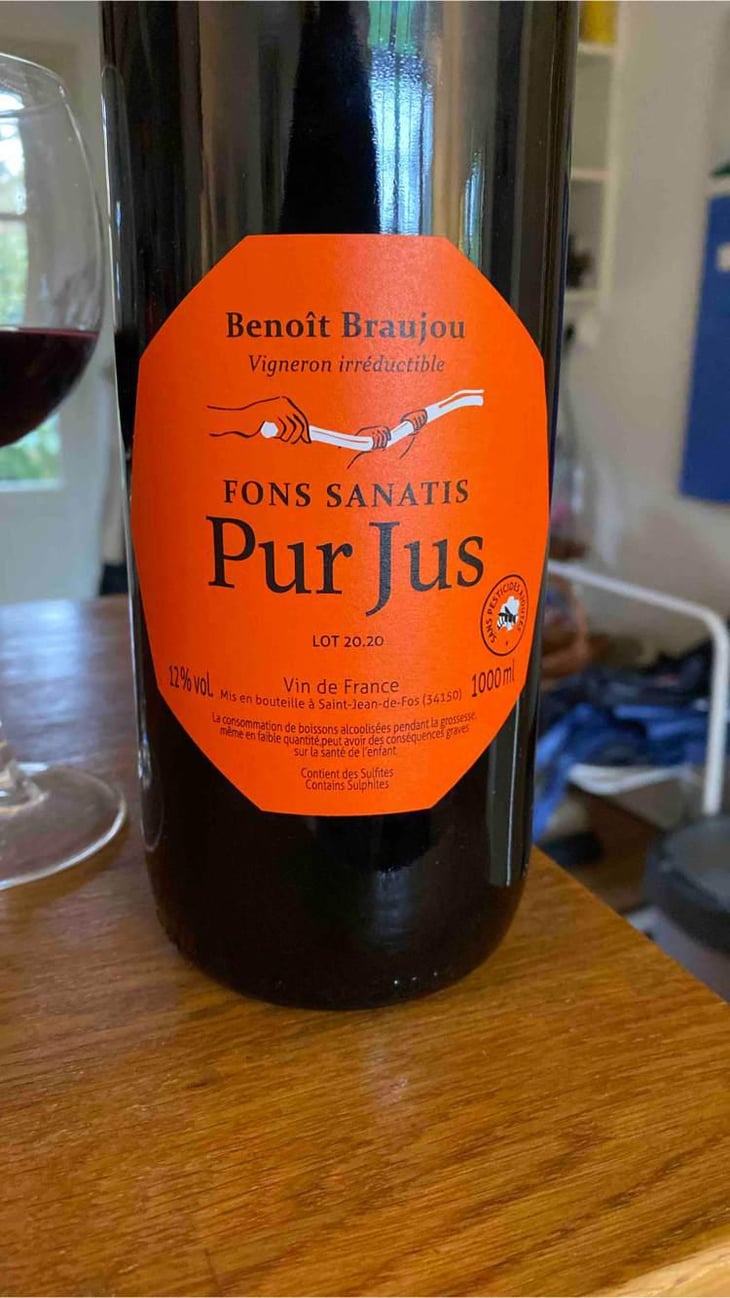 Pur Jus - Fons Satanis - Benoît Braujou 