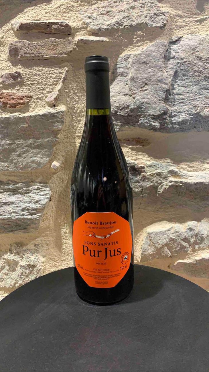 Pur Jus - Fons Satanis - Benoît Braujou 