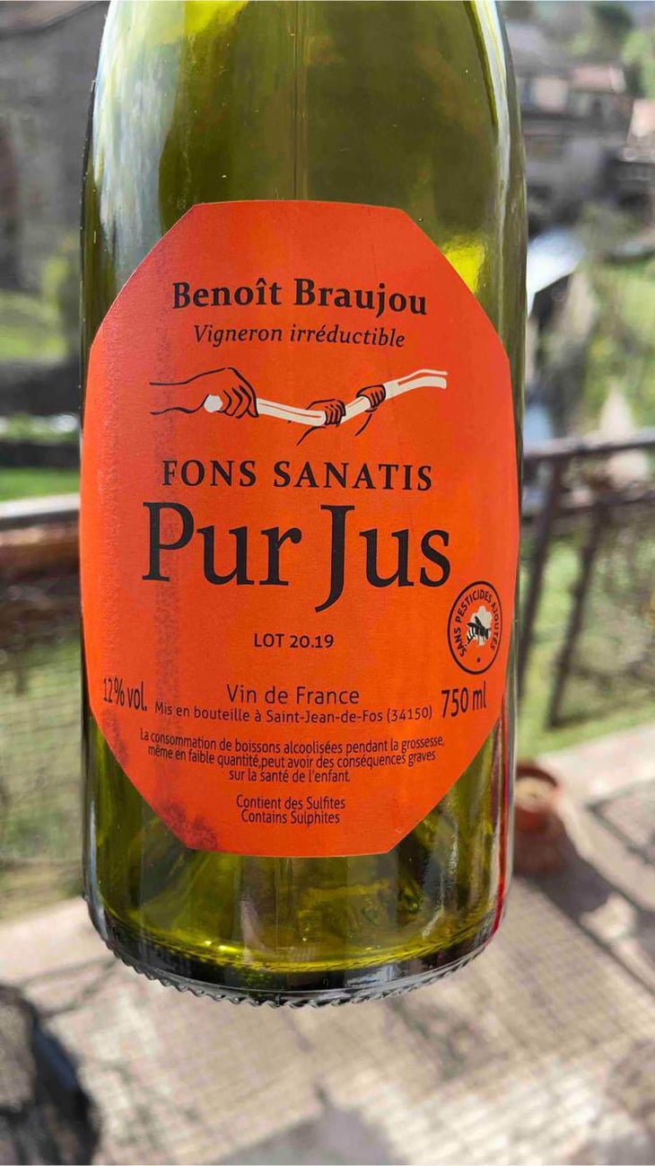 Pur Jus - Fons Satanis - Benoît Braujou 