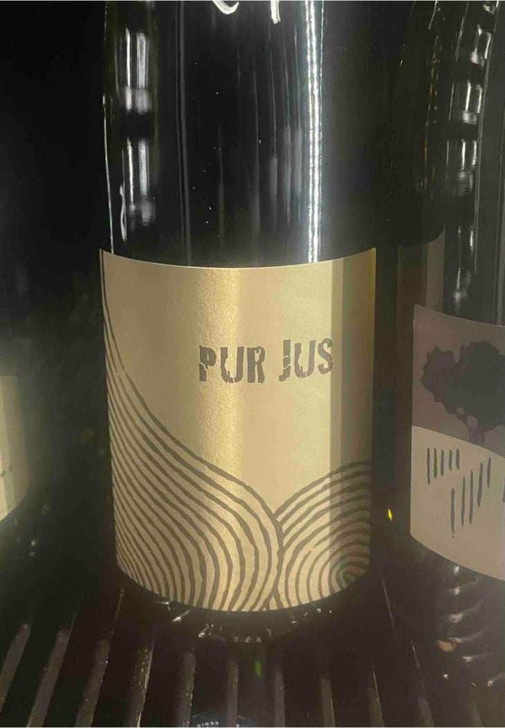 Pur Jus - Léo Dirringer - Léo Dirringer 