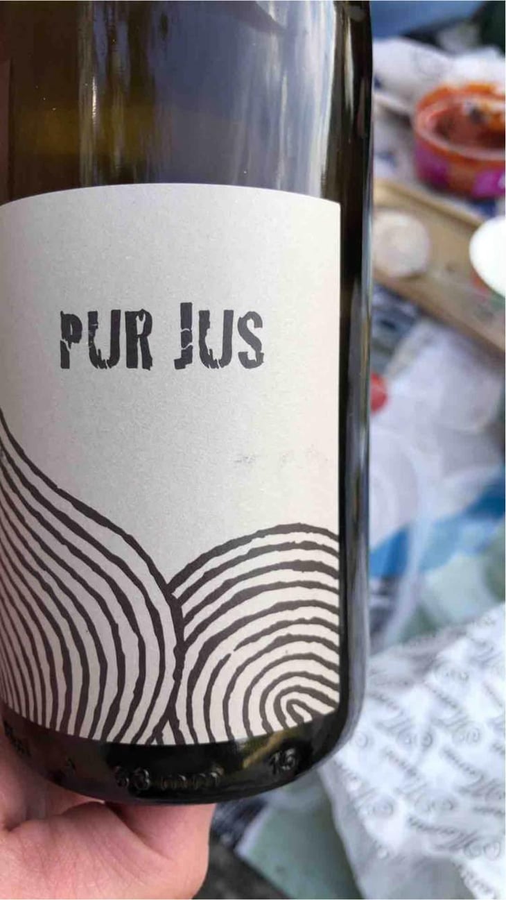 Pur Jus - Léo Dirringer - Léo Dirringer 