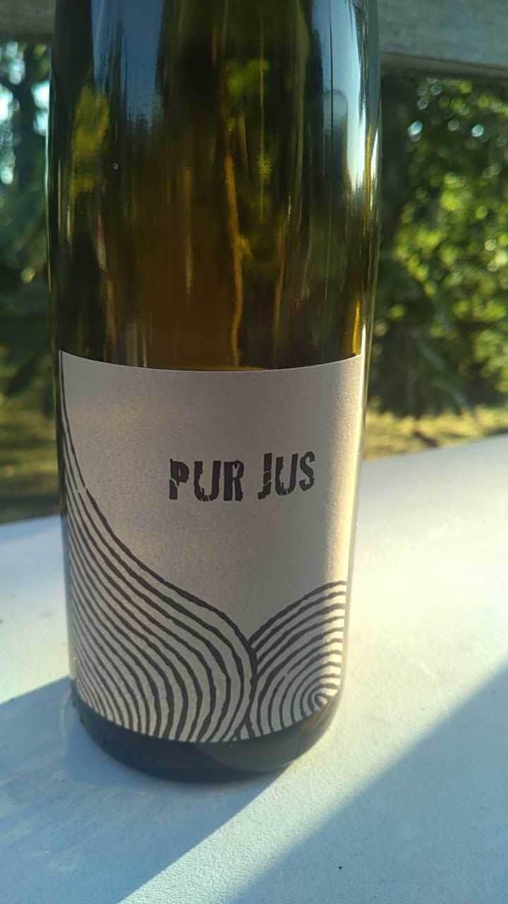 Pur Jus - Léo Dirringer - Léo Dirringer 