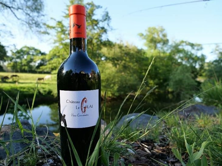 Pure Carménère Carmine - Château Le Geai - Henri Duporge 