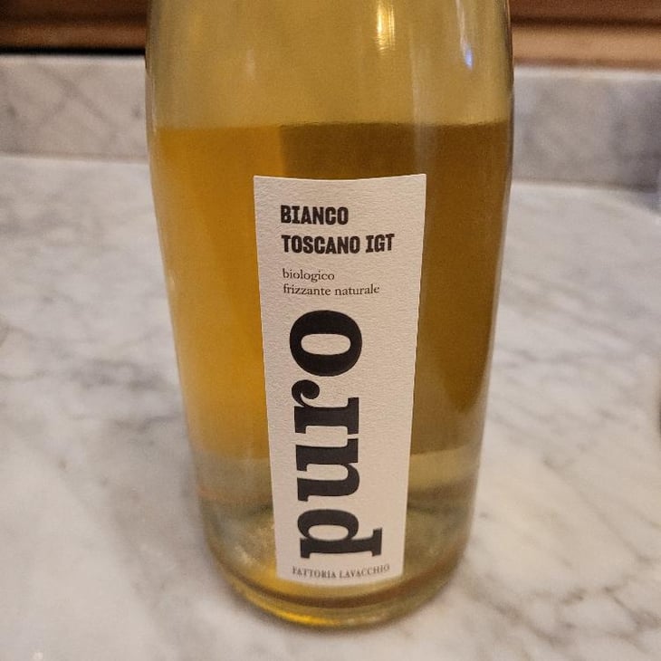 Bianco Toscana Puro Pet-Nat - Fattoria Lavacchio Biowinery - Faye Lottero 