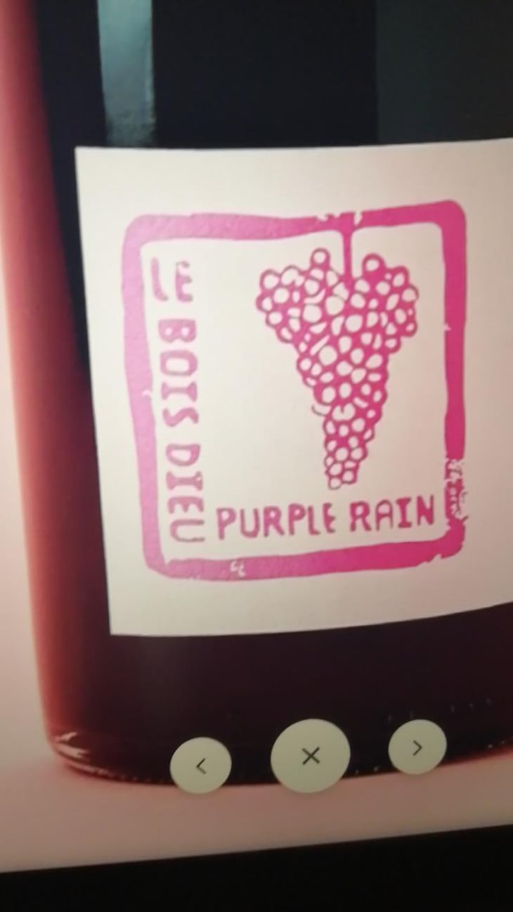 Purple Rain - Le Bois Dieu - Salma Cassam Chenaï & Frédéric Thiry 