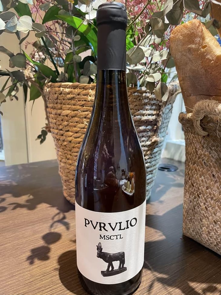 MSCTL - Viñas de Purulio-Bodega Torcuato Huertas Tomás - Tomás Torcuato Huertas 