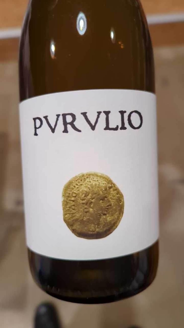 MSCTL - Viñas de Purulio-Bodega Torcuato Huertas Tomás - Tomás Torcuato Huertas 