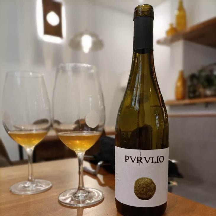 MSCTL - Viñas de Purulio-Bodega Torcuato Huertas Tomás - Tomás Torcuato Huertas 