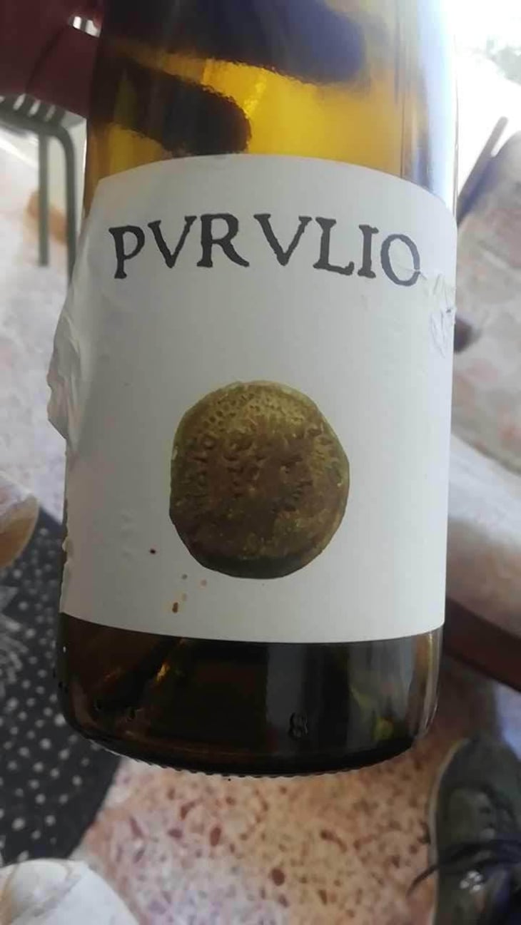 MSCTL - Viñas de Purulio-Bodega Torcuato Huertas Tomás - Tomás Torcuato Huertas 