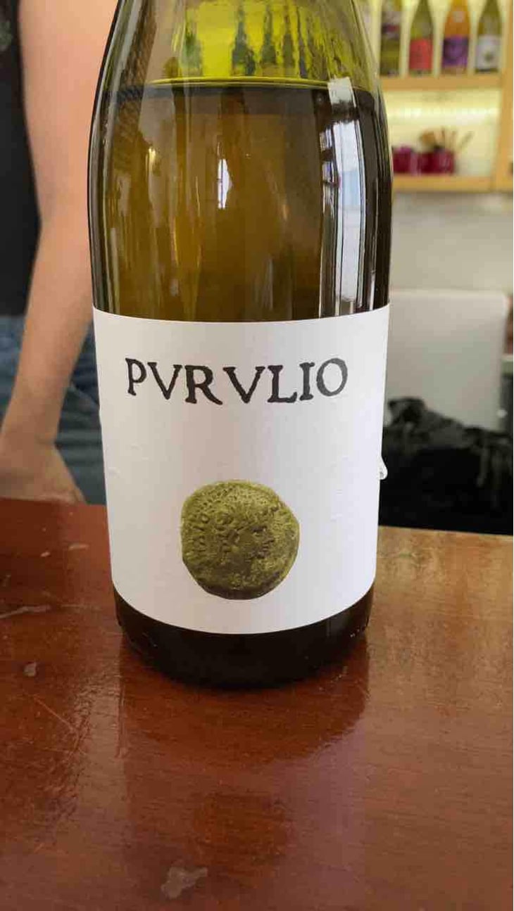 MSCTL - Viñas de Purulio-Bodega Torcuato Huertas Tomás - Tomás Torcuato Huertas 