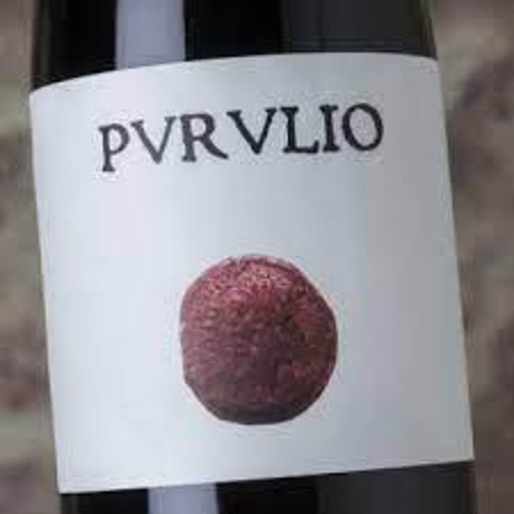 Purulio Tinto - Viñas de Purulio-Bodega Torcuato Huertas Tomás - Tomás Torcuato Huertas 