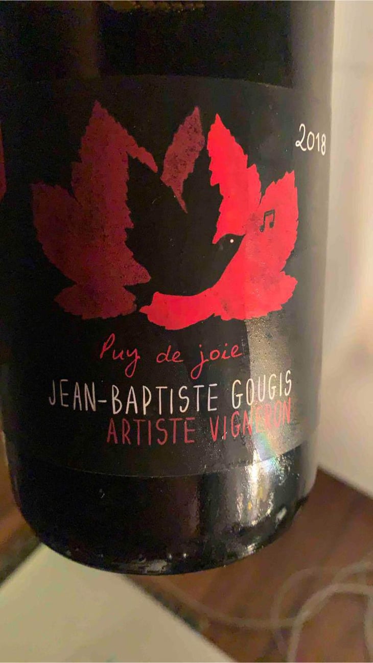 Puy De Joie - Gougis - Jean-Baptiste Gougis 
