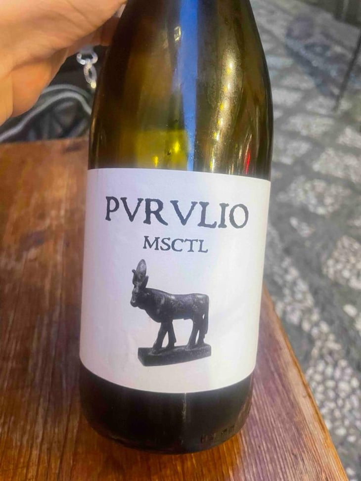 MSCTL - Viñas de Purulio-Bodega Torcuato Huertas Tomás - Tomás Torcuato Huertas 