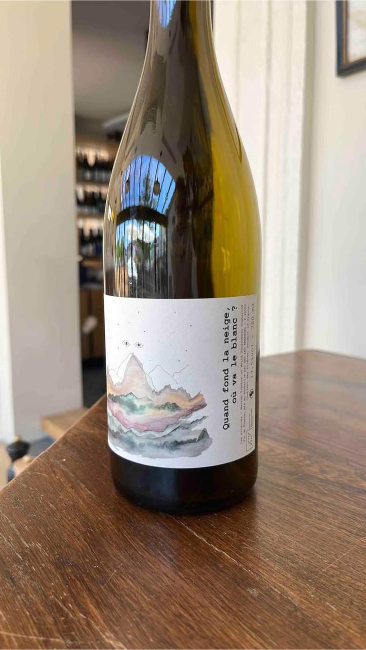 Quand Fond La Neige, Où Va Le Blanc? - Les Errances - Warren Truchon & Maïté Perrocheau 