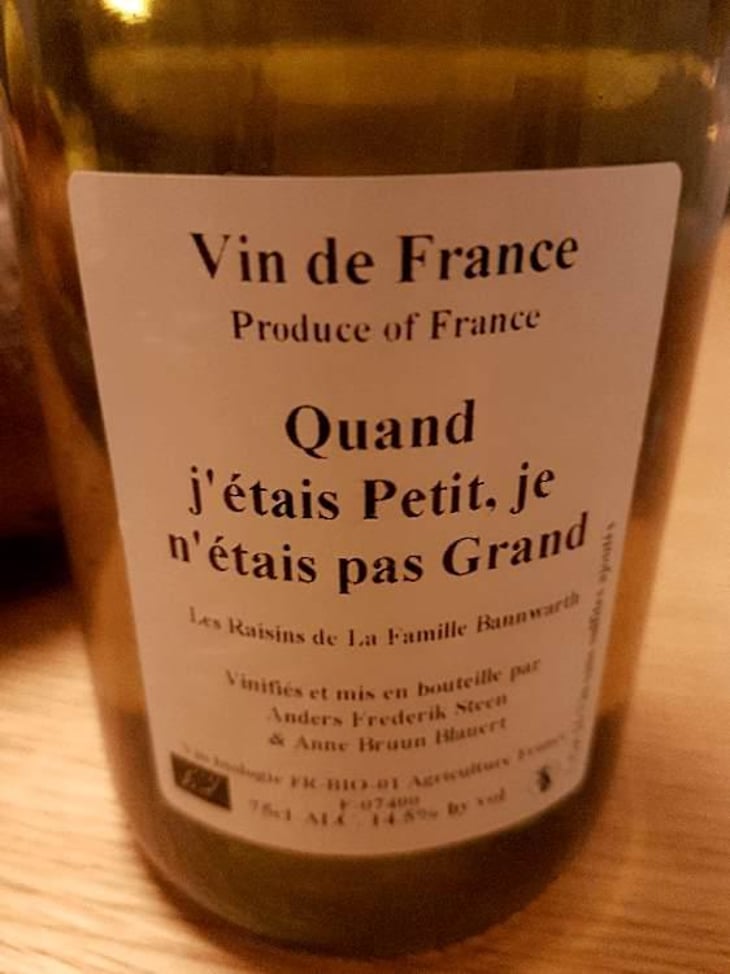 Quand j'étais Petit, je n'étais pas Grand (X Laurent Bannwarth) - Anders Frederik Steen & Anne Bruun Blauert - Anders Frederik Steen & Anne Bruun Blauert 