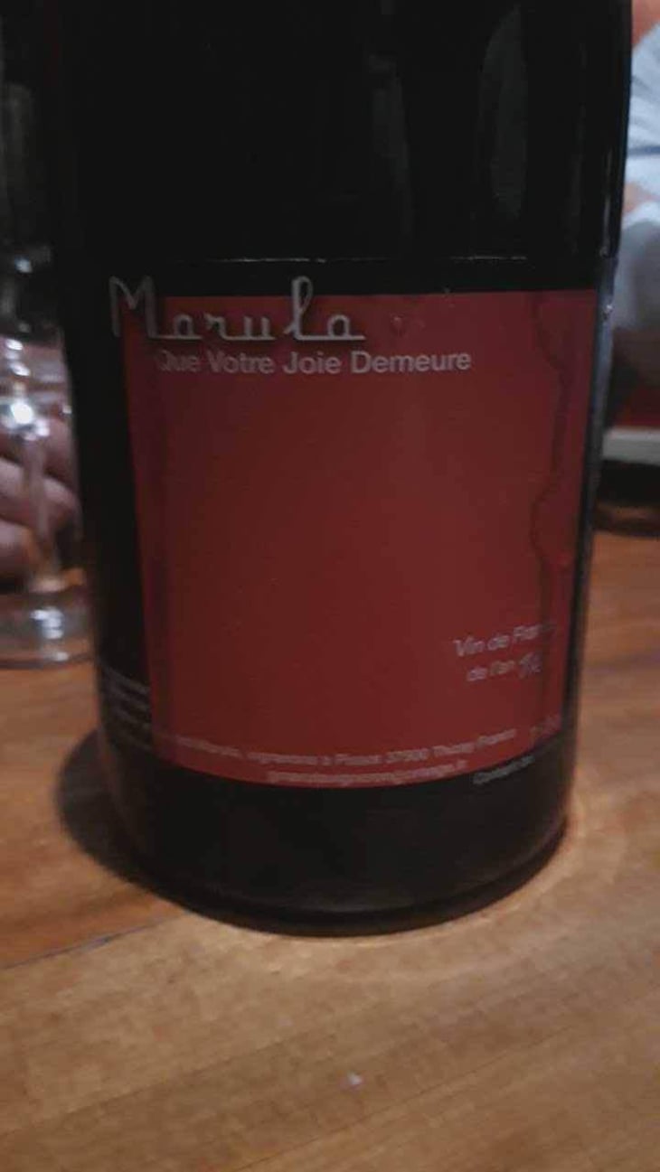 Que Votre Joie Demeure - Marula - Nadine et Gérard Marula 