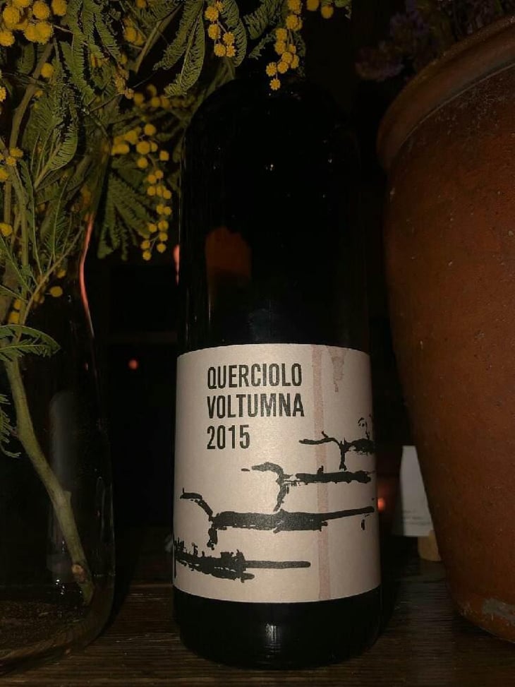 QUERCIOLO - Voltumna - Marzio Politi 