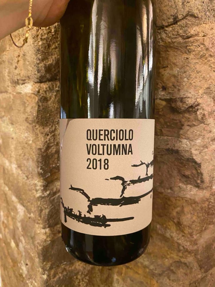QUERCIOLO - Voltumna - Marzio Politi 