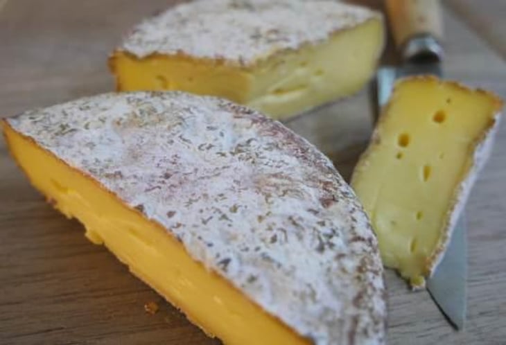 Queso Terra - Monvínic Store - 524922