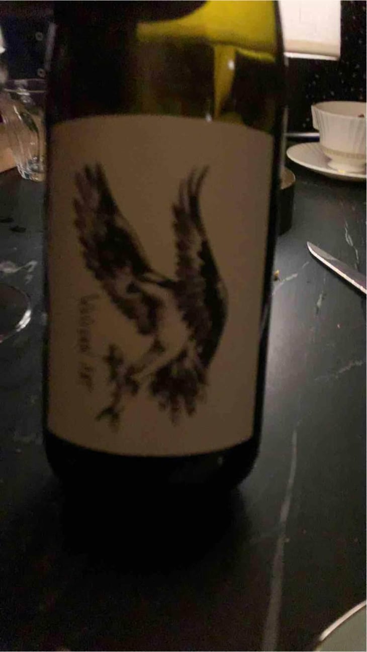 Quest Marin - Absentee Winery - Avi Deixler 