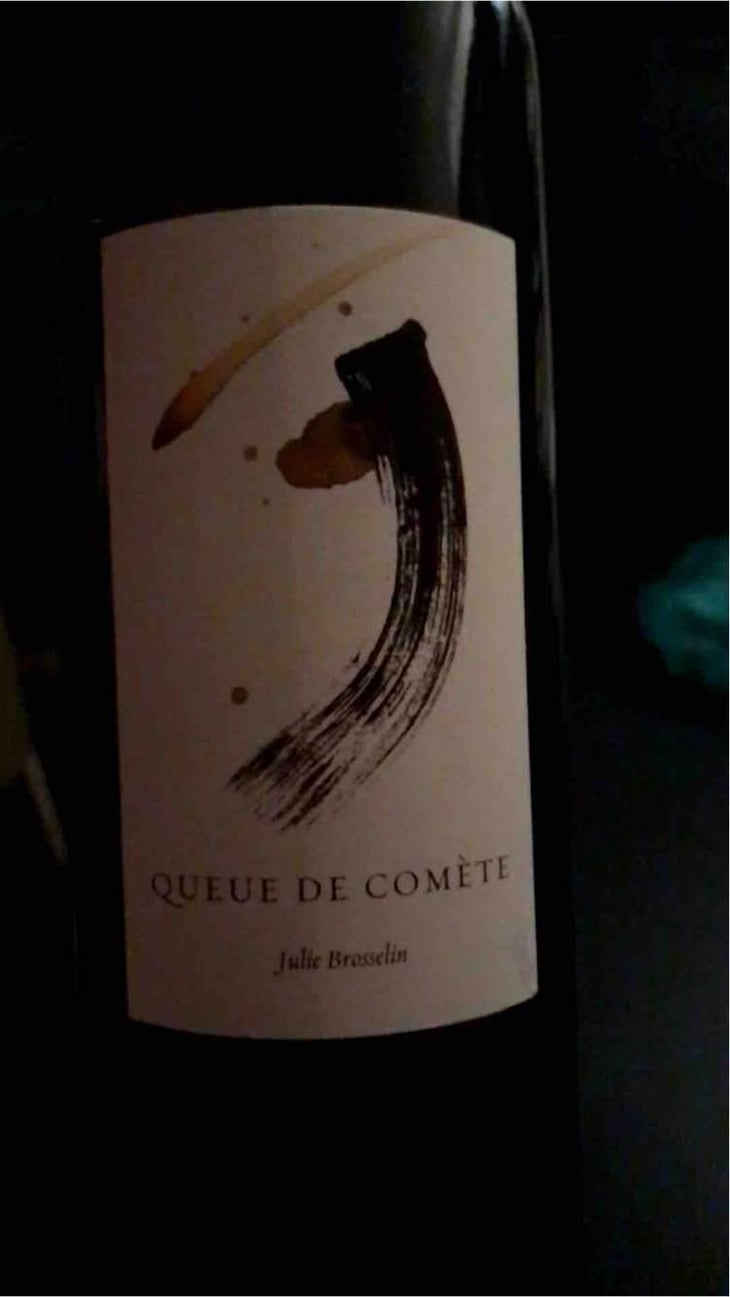 Queue de Comète - Julie Brosselin - Julie Brosselin 