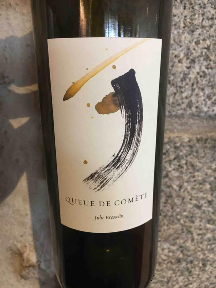 Queue de Comète - Julie Brosselin - Julie Brosselin 