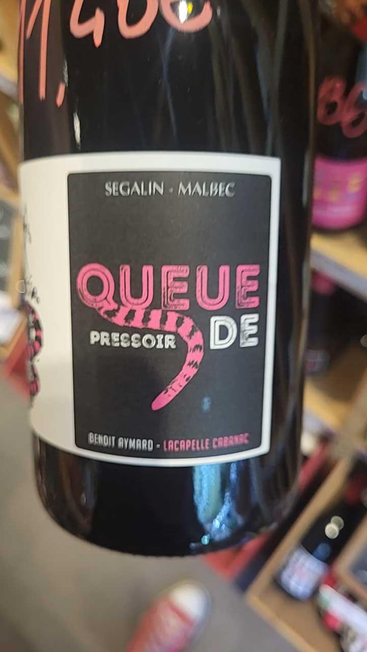 Queue de Pressoir - Clos d’Audhuy - Benoit Aymard -2021