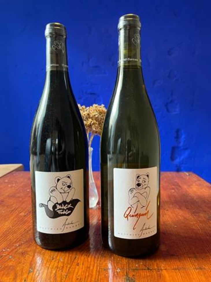 Quinquin - Domaine du Coulet - Matthieu Barret 