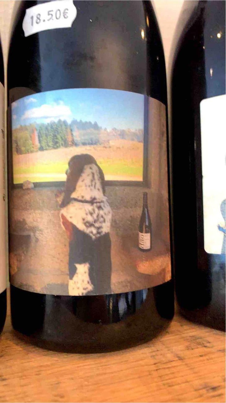 Quinta Da Saes Tinto - Quinta da Pellada | Quinta de Saes - Maria & Álvaro Castro 