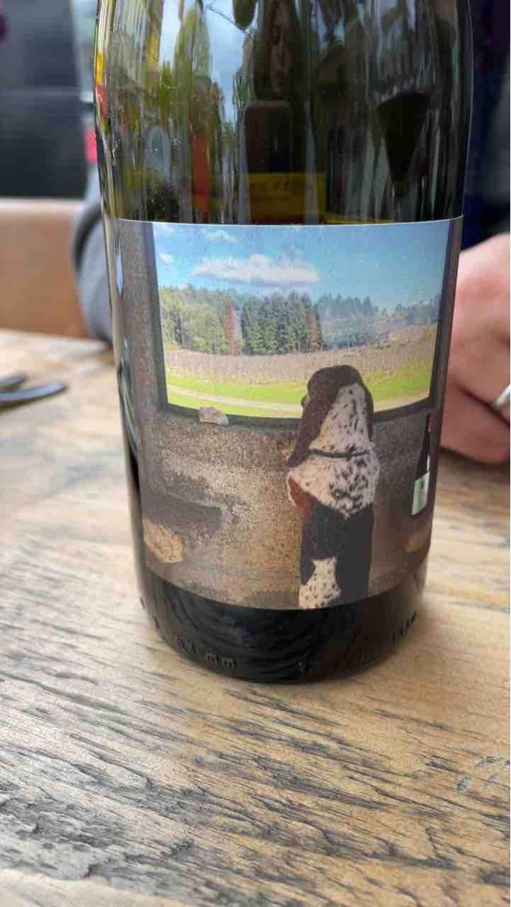 Quinta Da Saes Tinto - Quinta da Pellada | Quinta de Saes - Maria & Álvaro Castro 