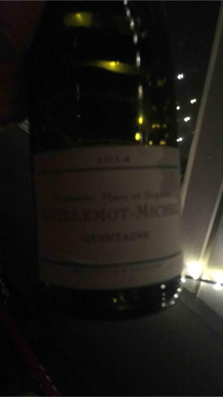 Quintaine - Domaine Guillemot-Michel - Sophie & Gautier Roussille 