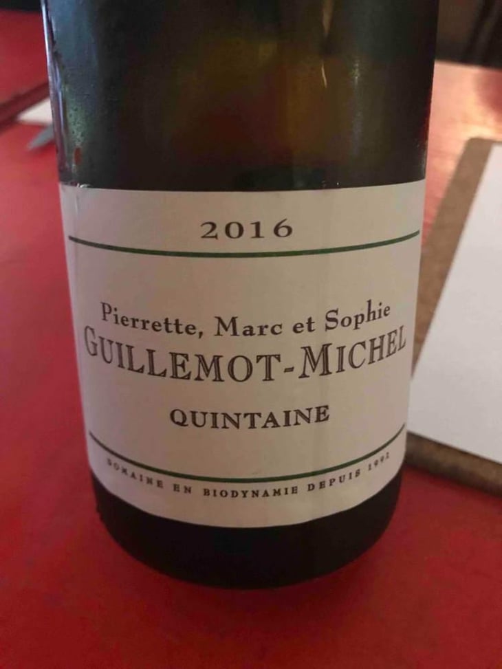 Quintaine - Domaine Guillemot-Michel - Sophie & Gautier Roussille 