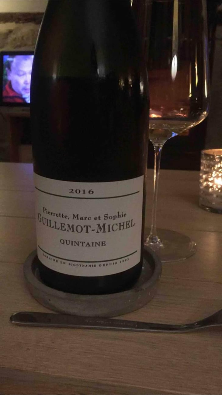 Quintaine - Domaine Guillemot-Michel - Sophie & Gautier Roussille 