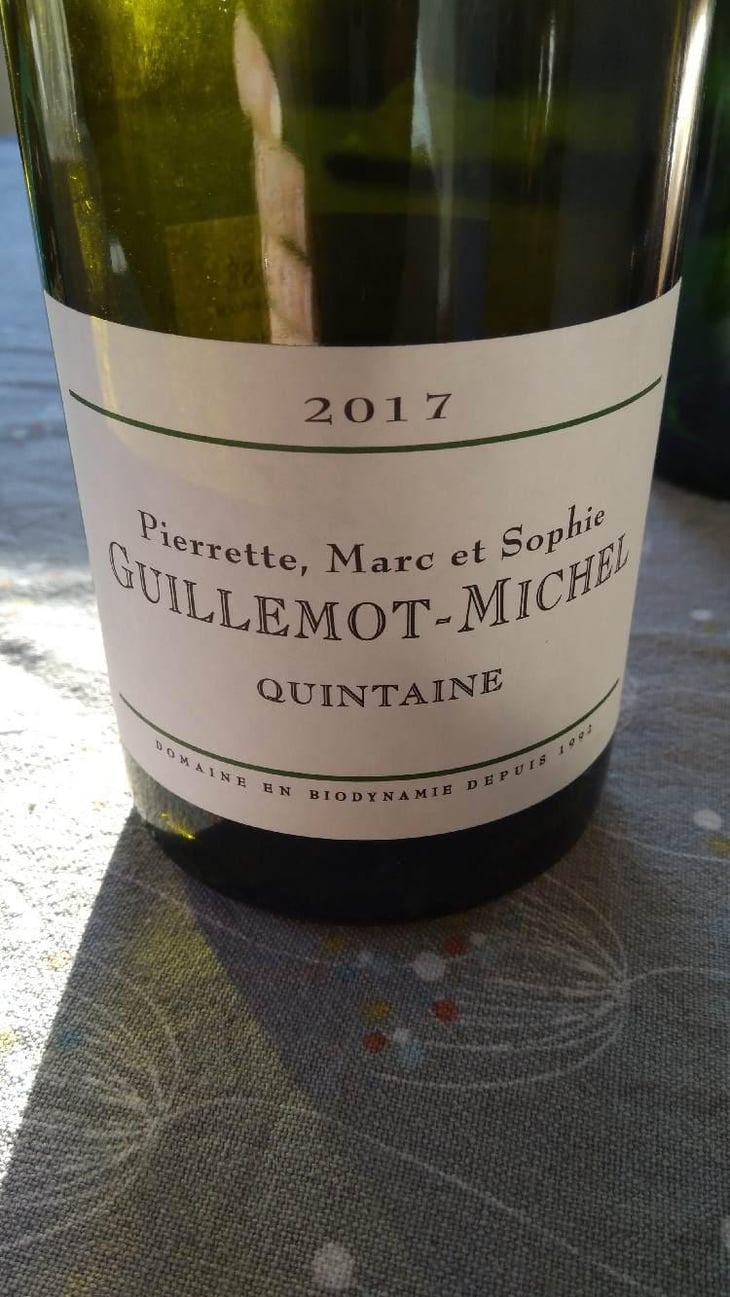 Quintaine - Domaine Guillemot-Michel - Sophie & Gautier Roussille 