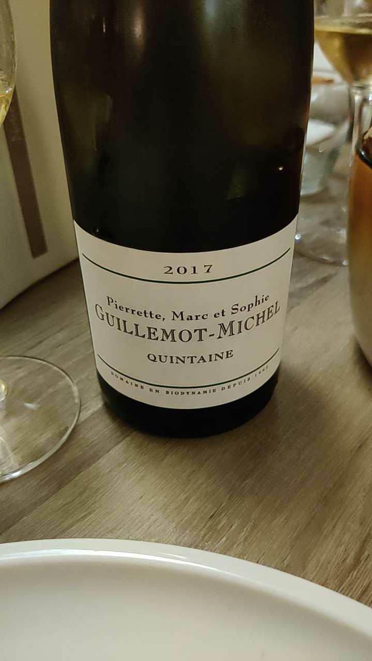 Quintaine - Domaine Guillemot-Michel - Sophie & Gautier Roussille 