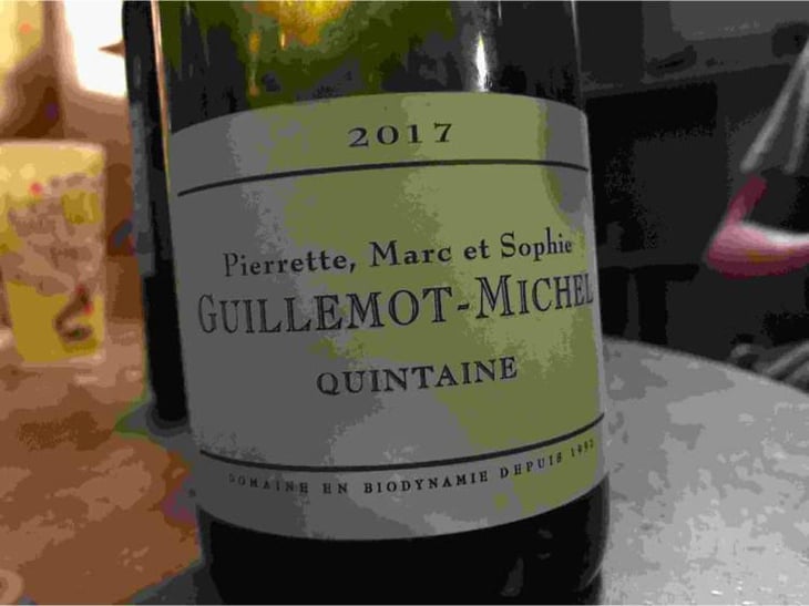 Quintaine - Domaine Guillemot-Michel - Sophie & Gautier Roussille 