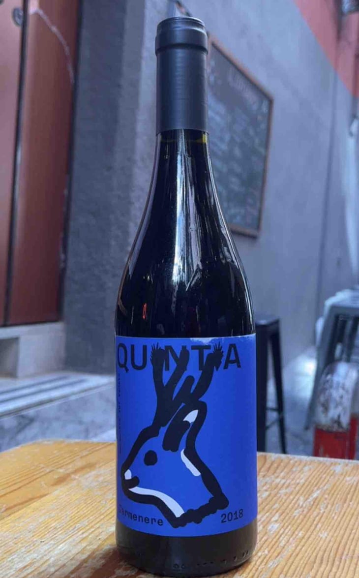 Carmenere - Azienda vitivinivola Quintia - Azienda vitivinivola Quintia -2018