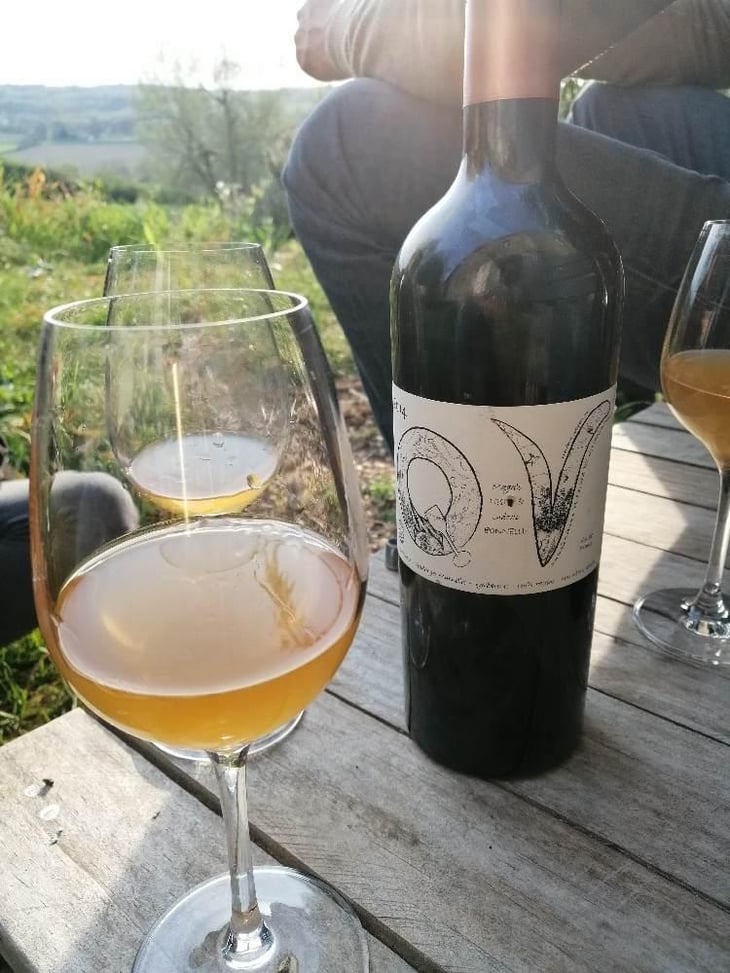QV - Domaine du Pech - Magali Tissot & Ludovic Bonnelle 