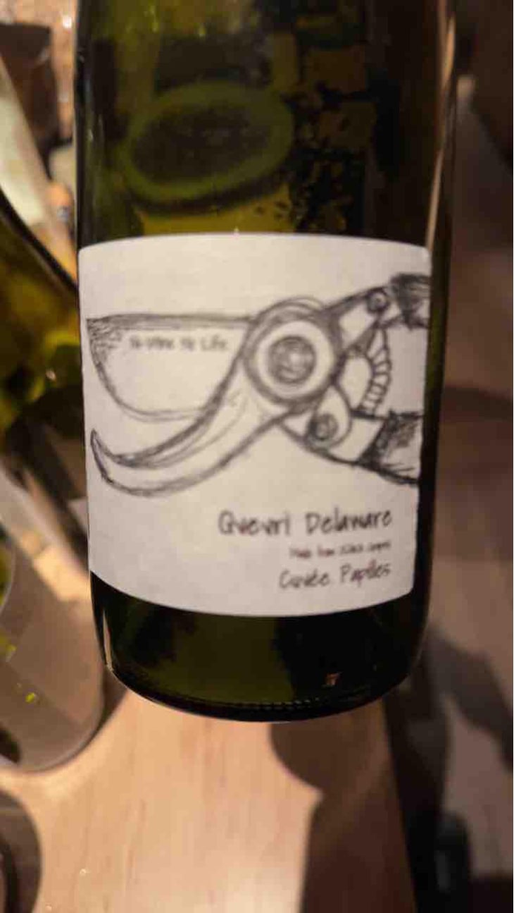 Qvevri Delaware - "Cuvée Papilles" - Fujimaru Brewery (Shimanouchi / Kiyosumi Shirakawa) - Satoshi Fujimaru 