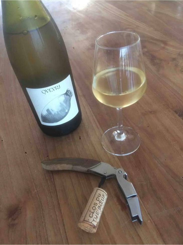 Qvevri - La Caillère - Clos du Tue-Bœuf - Zoé, Louise & Thierry Puzelat 