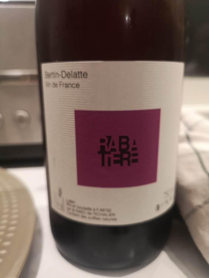 Rabatiere (Aunis) - Bertin Delatte - Nicolas Bertin & Geneviève Delatte 