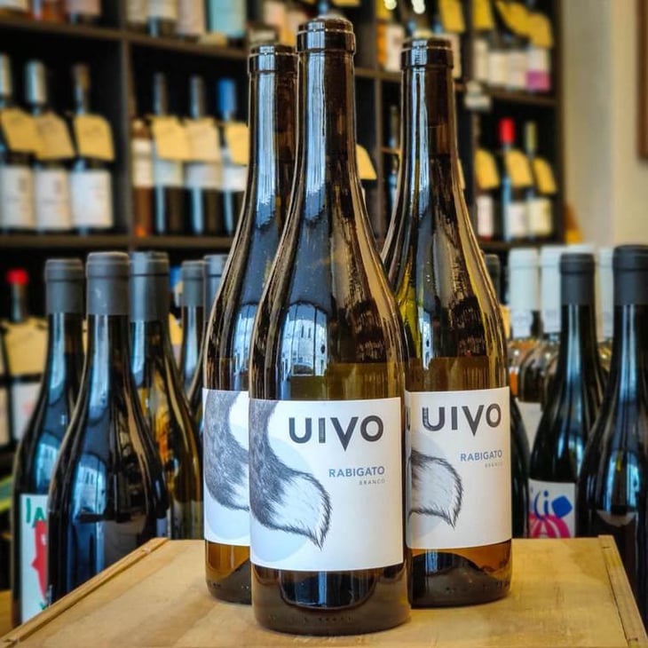 Uivo Rabigato - Folias de Baco - Tiago Sampaio 